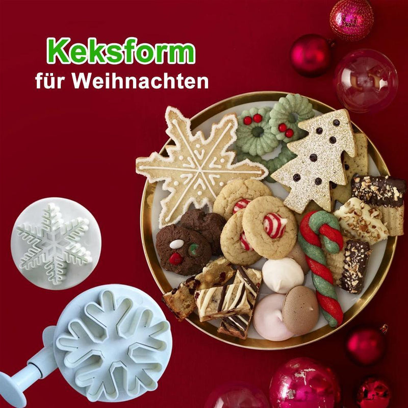 Keksform für Weihnachten(22-teiliges Set)