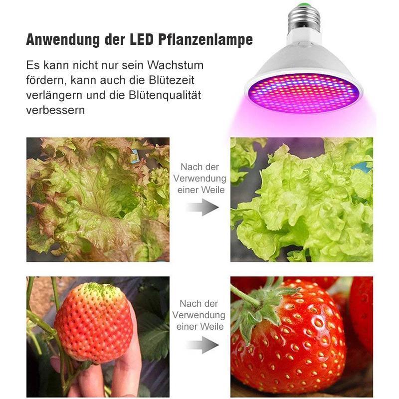 Zimmerpflanzen LED Pflanzenlampe mit Klammer