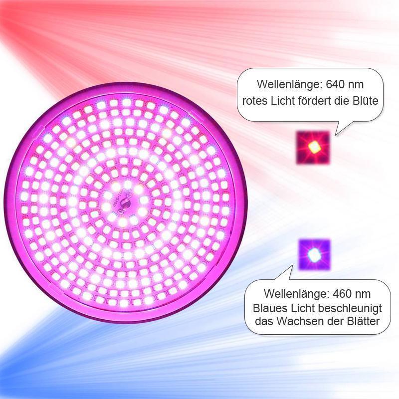 Zimmerpflanzen LED Pflanzenlampe mit Klammer